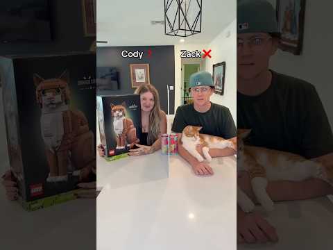 Lying challenge with CATS 🤣 thumbnail