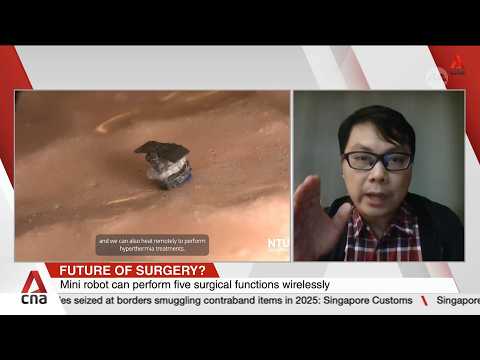 NTU scientists develop seed-sized surgical robot thumbnail