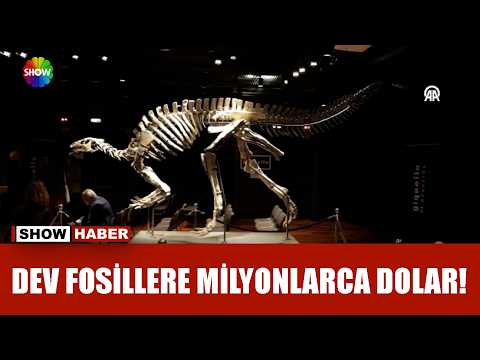 Zenginlerin yeni gözdesi: Dinozor Fosilleri! thumbnail