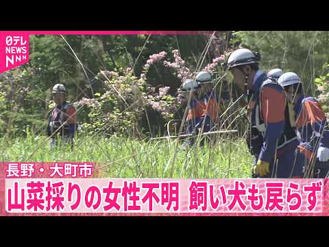 【長野・大町市】山菜採りに向かった女性（58）が行方不明  飼い犬も戻らず thumbnail