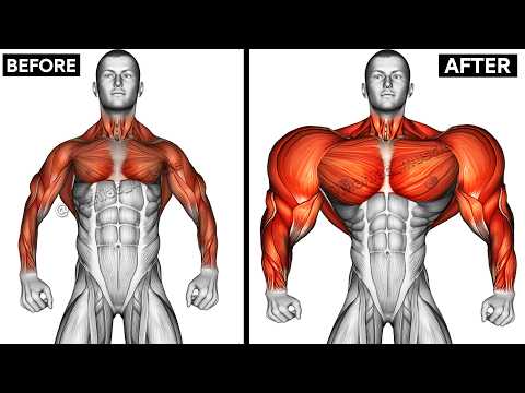 BEST Exercises To UPPER BODY With Dumbbells (chest,shoulder,back,traps,biceps,triceps,wrist) thumbnail