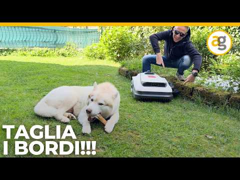 ROBOT TAGLIAERBA con DECESPUGLIATORE INTEGRATO. Recensione ECOVACS GOAT thumbnail