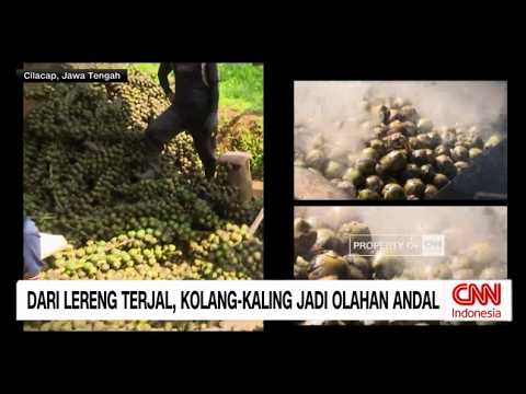 Dari Lereng Terjal, Kolang-Kaling Jadi Olahan Andal thumbnail