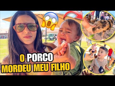 O PORCO MORDEU MEU FILHO NO PARQUE!!! 😰😭 *ELE CHOROU*  thumbnail