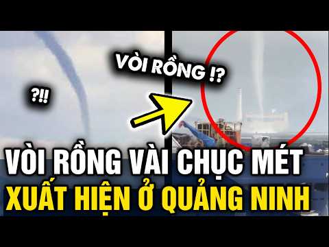 Xuất hiện VÒI RỒNG CAO VÀI CHỤC MÉT quét qua Quảng Ninh SÁNG NAY | Tin 3 Phút thumbnail