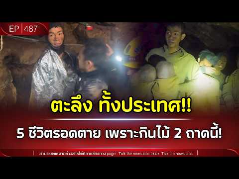 🚨 ตะลึงทั้งประเทศ!! 5 ชีวิตรอดตาย เพราะกินไม้ 2 ถาดนี้!! | Talk the News | EP.487 thumbnail