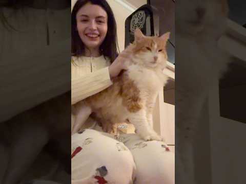Sarman kedimiz hastaneden çıkıyor Part3🐈🥹 #meryemcan thumbnail