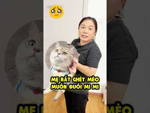 Khi Mẹ Ghét Mèo Đòi Đuổi Mi Mi Đi 😞 thumbnail