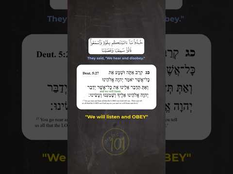 One Phrase, two Languages and Only ONE truth. #quran #i̇slam #arabic #arabic101 thumbnail