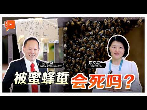 被蜜蜂蜇该怎么办？专科医生教你正确方法 thumbnail