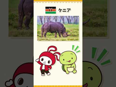 ぜんいち＆マイッキーとまなぶ まいぜんシスターズの世界の国ぐに thumbnail