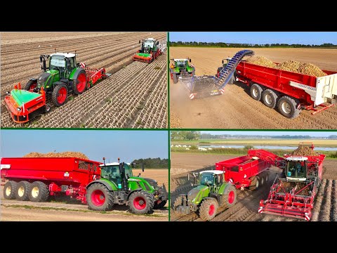 Busy Harvest day at Franzen Farms | Windrowing & Loading Onions - Lifting Potato's and Sugar Beet thumbnail