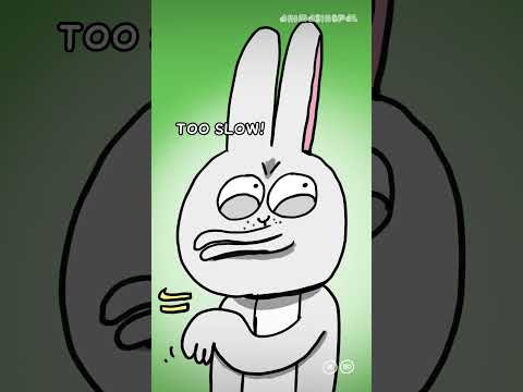 LOMBA LARI  ANEH KURA-KURA MELAWAN KELINCI thumbnail