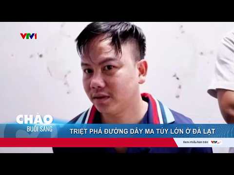 Triệt phá đường dây ma túy lớn ở Đà Lạt | Cụm tin | VTV24 thumbnail