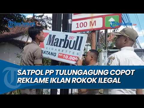 BERANI DAN MASIF, Satpol PP Tulungagung Copot Reklame Iklan Rokok Ilegal di Sejumlah Titik thumbnail