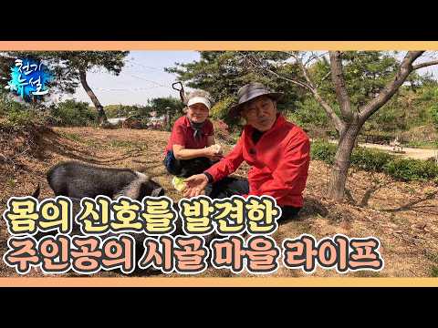 몸의 신호를 발견한 주인공의 시골 마을 라이프 MBN 260515 방송 thumbnail
