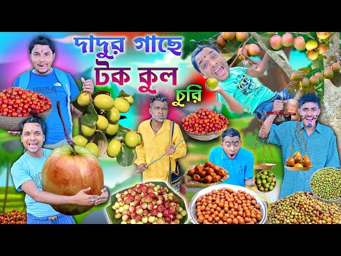 টককুল চোর লালু ভোলু 🍒🍒 || Tokkul Churi Comedy 🍈🍈|| টককুল পাগল ছেলে 🤪🤪|| #laluvolu #comedy thumbnail