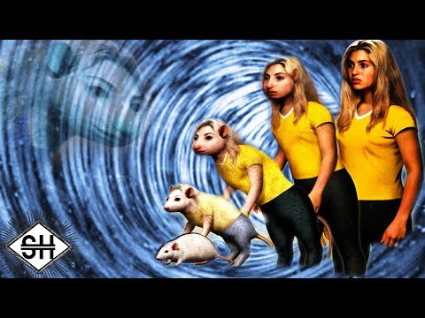 Subliminal Transformation Videos thumbnail