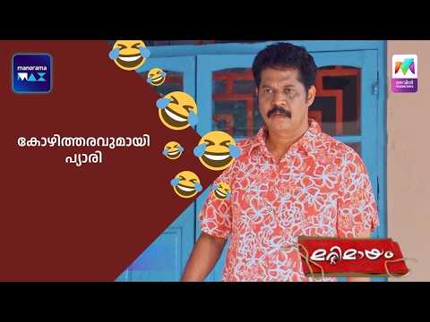 കോഴിത്തരവുമായി പ്യാരി  #bestofmarimayam #marimayam thumbnail