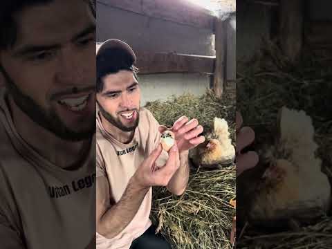 Эксперимент удался thumbnail