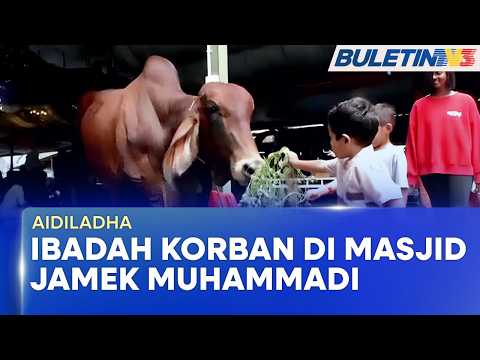AIDILADHA | Korban Dilaksana Penuh Ikhlas, Hayati Ibrah Ibadah (BU) thumbnail