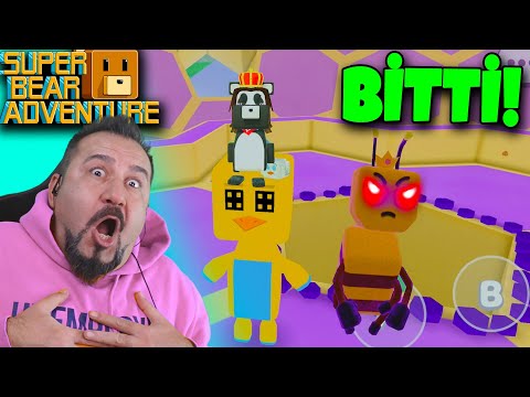 SUPER BEAR ADVENTURE ARI KRALİÇE BOSS! | FİNAL BÖLÜM! thumbnail