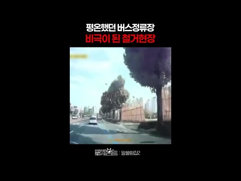 버스 위로 무너진 5층 건물 #알쓸범잡2 thumbnail