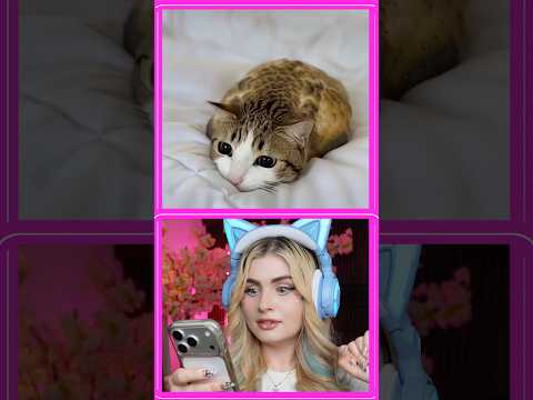 MEOWLS REALES CAPTADOS EN CÁMARA!! 😱❤️ thumbnail