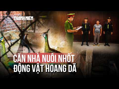 Bí mật 'kho' nuôi nhốt lậu nhiều động vật hoang dã quý hiếm thumbnail