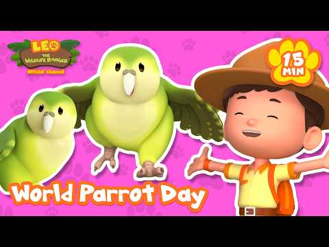 It's World Parrot Day! Celebrate with the Kakapo Parrot! Leo the Wildlife Ranger | Learning Cartoons thumbnail