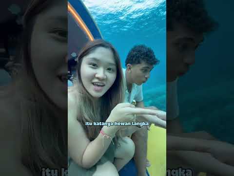 Dalam laut begini ya #dellaseptt #challenge #dailylife #fun #comedy thumbnail