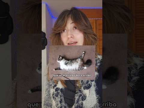 Encontramos a Birote... thumbnail