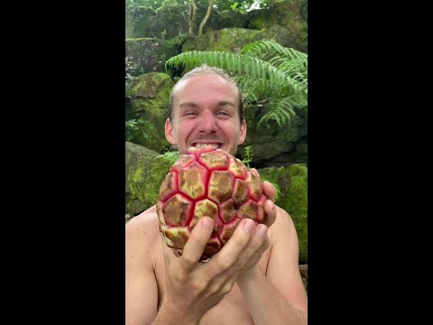This Fruit Opens Like An Easter Egg thumbnail