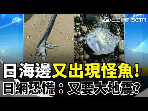 日本海邊驚現怪魚！日網恐慌大當機：難道又要大地震？！坦尚尼亞童翻轉奪台大博士 畢典致詞讓全場淚崩！孫淑媚絕美畢業照曝光、王心恬糗落水QQ｜三立新聞網 SETN.com thumbnail