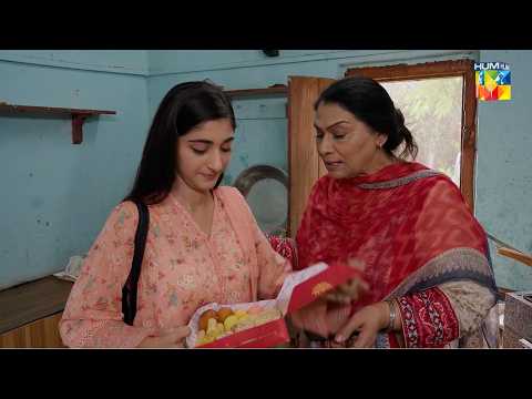 Ye Mithai Kis Khushi Mein Hai...! #alishbakhan - Musafat - HUM TV thumbnail