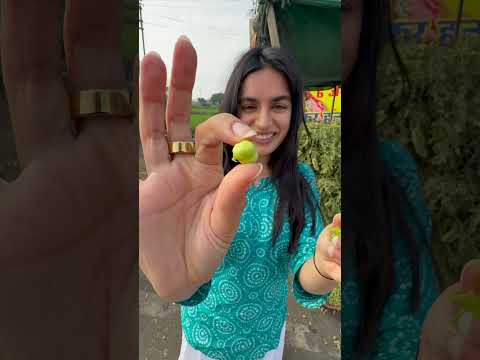 Visiting the 200 INR note & travelling 5hr from Ujjain to Sanchi Stupa #hindi #vlog thumbnail