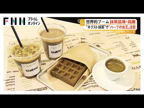 健康志向で注目“ハーブの女王”「ヨモギ」　“ネクスト抹茶”人気拡大　蒸し体験も広がる（2026年05月19日） thumbnail