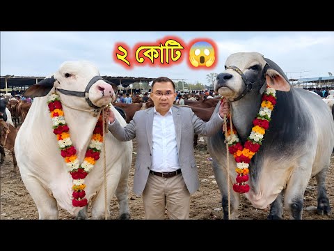 ২০২৬ সালে নতুন ভাইরাল ১০ গরু..! ? || কুরবানির গরুর হাট ২০২৬ | Gorur Hat 2026 | pagla goru 2026 thumbnail