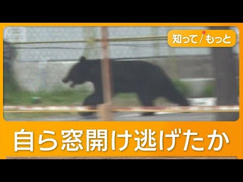 4人襲ったクマは高い知能？　蛇口ひねり水飲む姿　カギ開け、窓もスライド　福島市【知ってもっと】【グッド！モーニング】(2026年6月5日) thumbnail