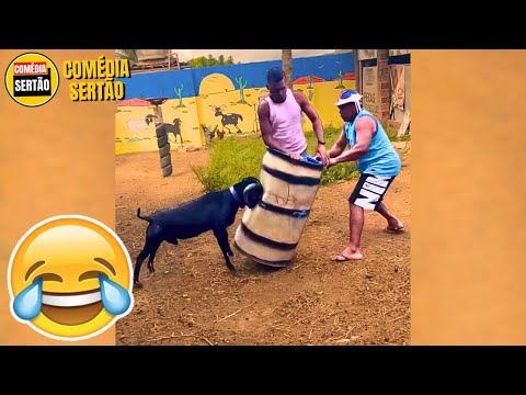 NÃO PODE RIR! 😂 Vídeos Engraçados 2024 thumbnail