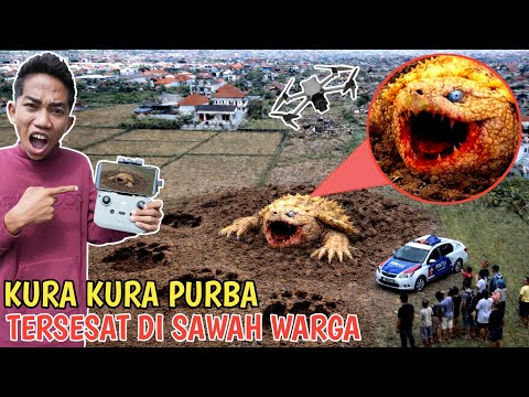 DRONE ARIK MENEMUKAN KURA KURA ALIGATOR PURBA Terdampar DISAWAH WARGA,😱Semua HEBOH?!| Mikael TubeHD thumbnail