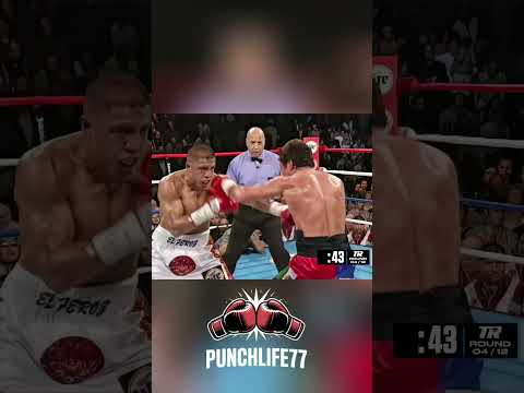 oscar de la hoya vs fernando vargas thumbnail