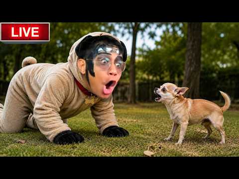 ? LIVE  มีแต่เกมน่าเล่น !!! บันเทิงกันไป thumbnail