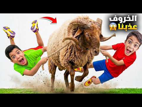 فلوق عيد الأضحى زين صار يبكي بسبب خروف العيد🤣 هرب منو رحنا ع الألعاب وزعنا توزيعات العيد😍#زين_وألفت  thumbnail