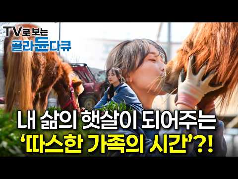 내 삶의 햇살이 되어주는 '따스한 가족의 시간'?!ㅣ내 삶의 햇살, 가족ㅣ한국기행ㅣTV로 보는 #골라듄다큐 thumbnail