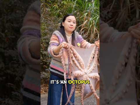 Dare you eat the discarded food? thumbnail