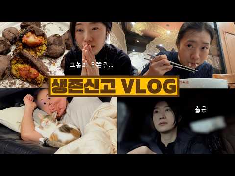 [ENG VLOG] 그놈의 두쫀쿠. 10만 유튜버의 현실 수입?오랜만 근황! thumbnail