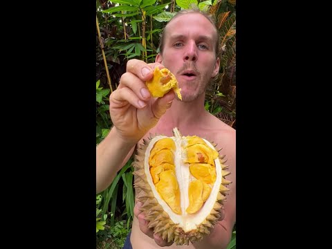 World’s Rarest Tropical Fruit thumbnail