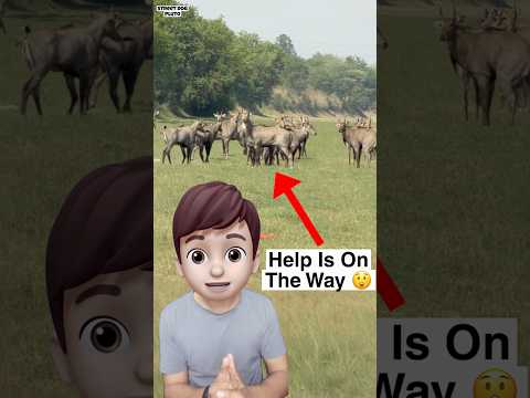 Help Is On the Way ?? thumbnail