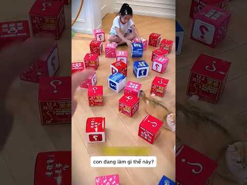 😱 Đường Bảo Nuốt Chửng Quả Bóng Bàn! 🏓😻 thumbnail